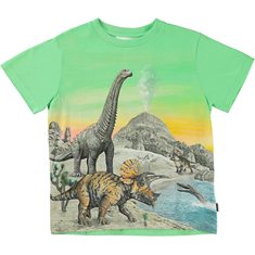 Molo T-Shirt 92-110 Rame Dino Grön
